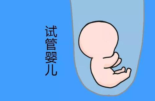 林主任